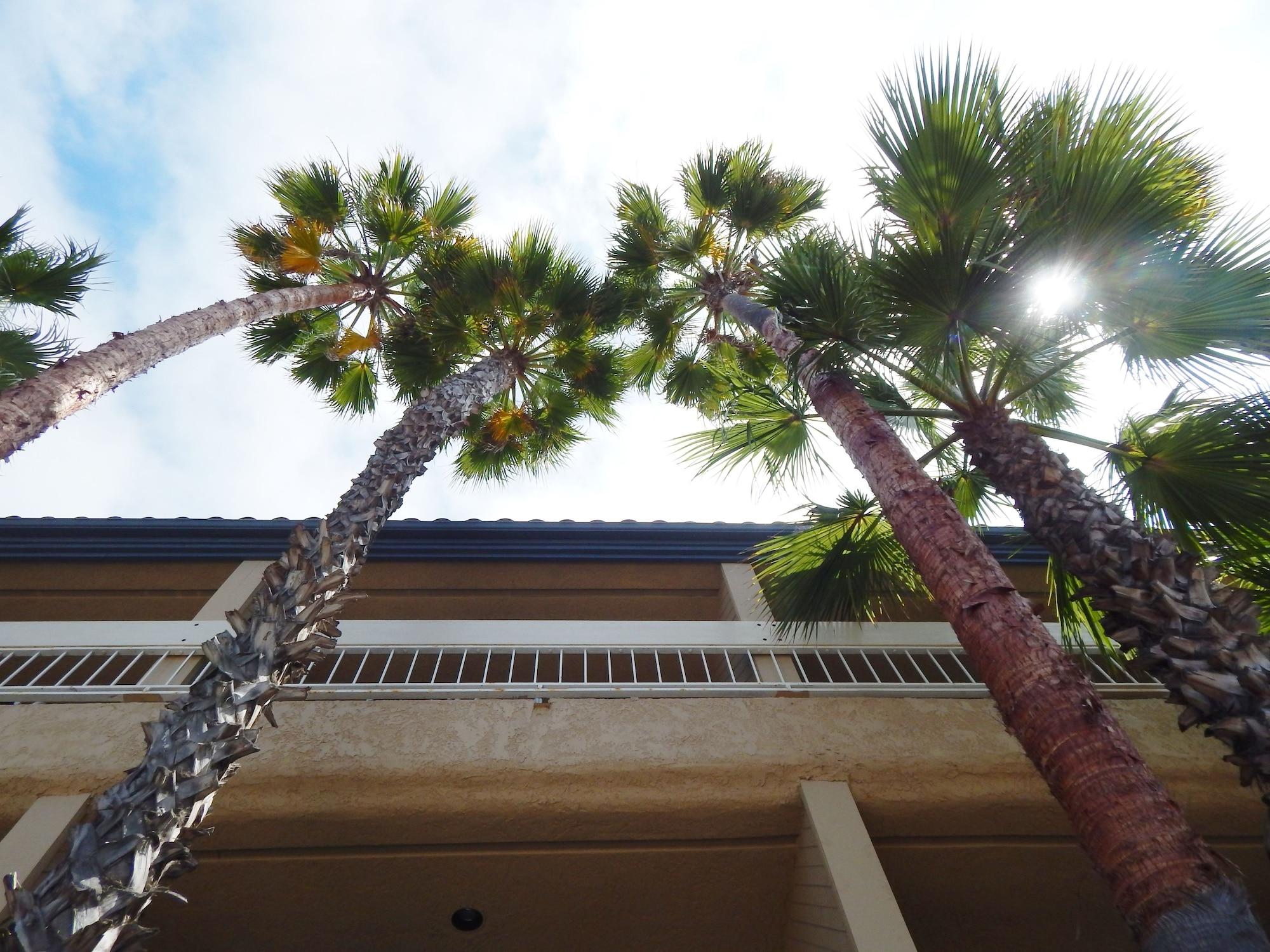 The Pacific Inn Seal Beach Exterior photo